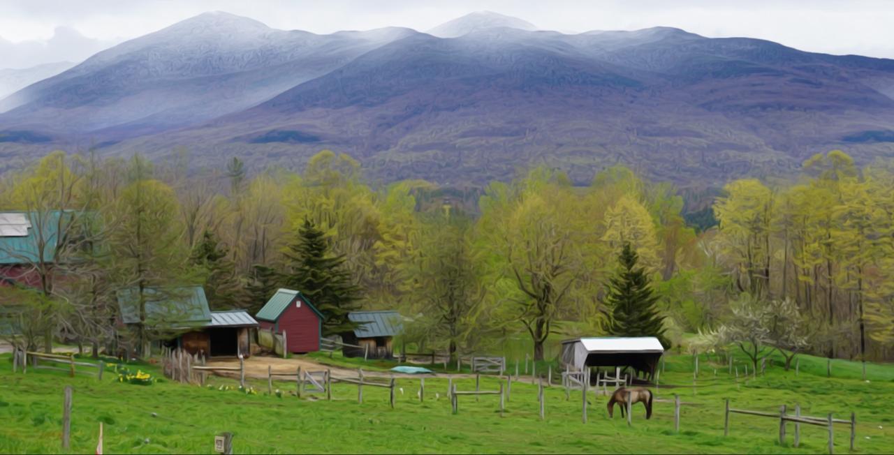 The Chipman Inn Ripton エクステリア 写真